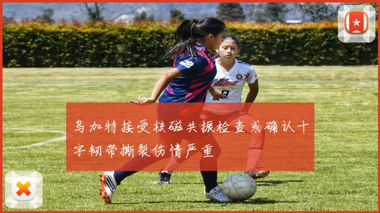 乌加特接受核磁共振检查或确认十字韧带撕裂伤情严重