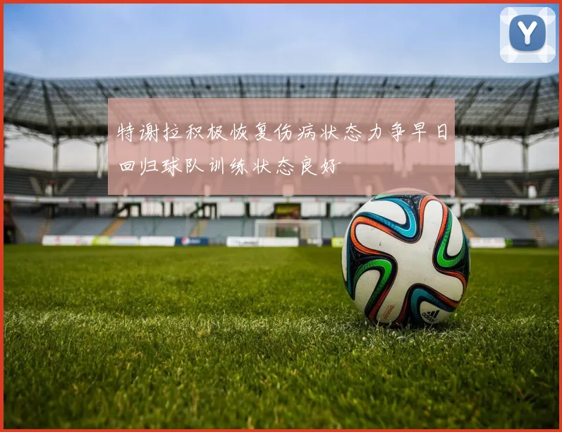 特谢拉积极恢复伤病状态力争早日回归球队训练状态良好